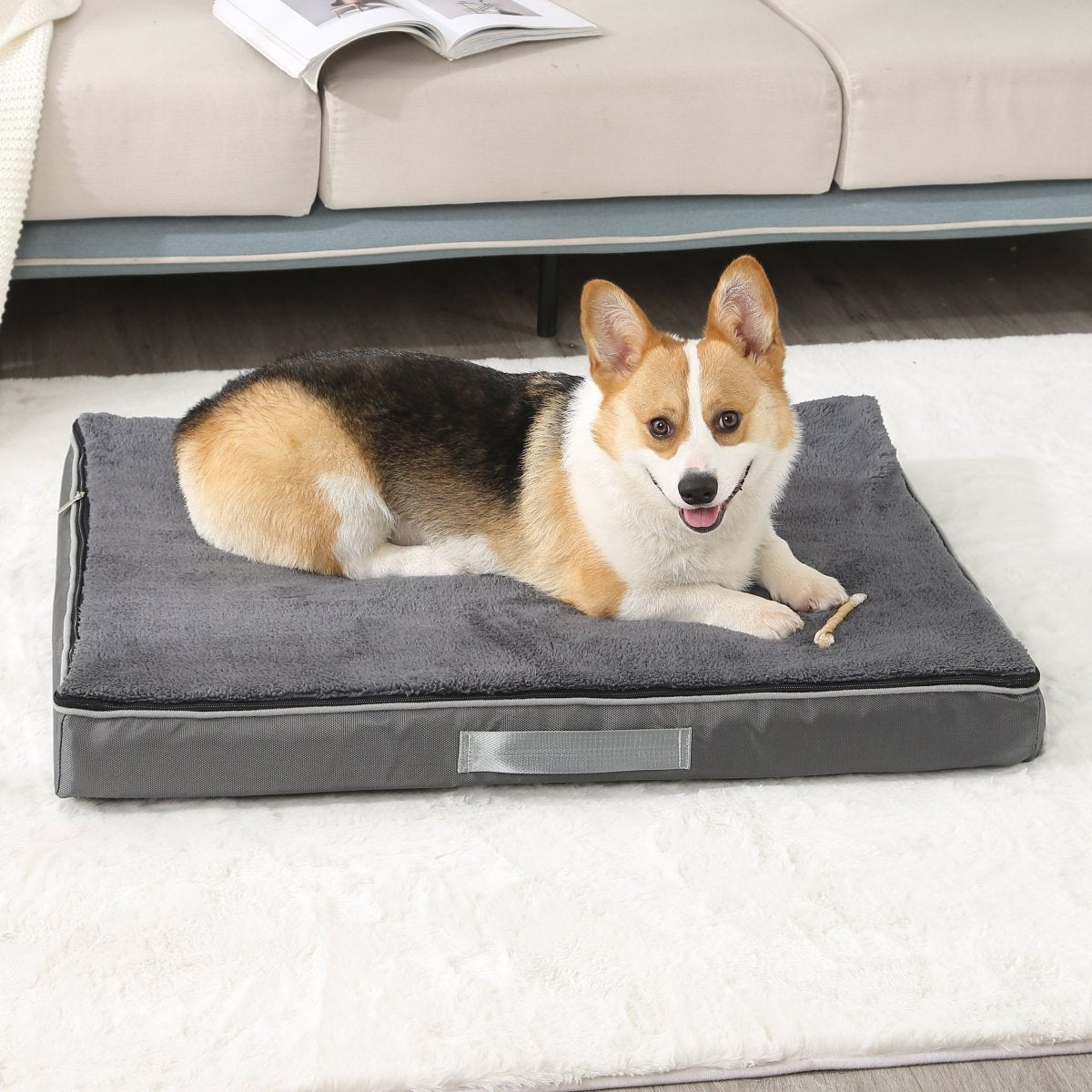 Orthopedic Dog Bed