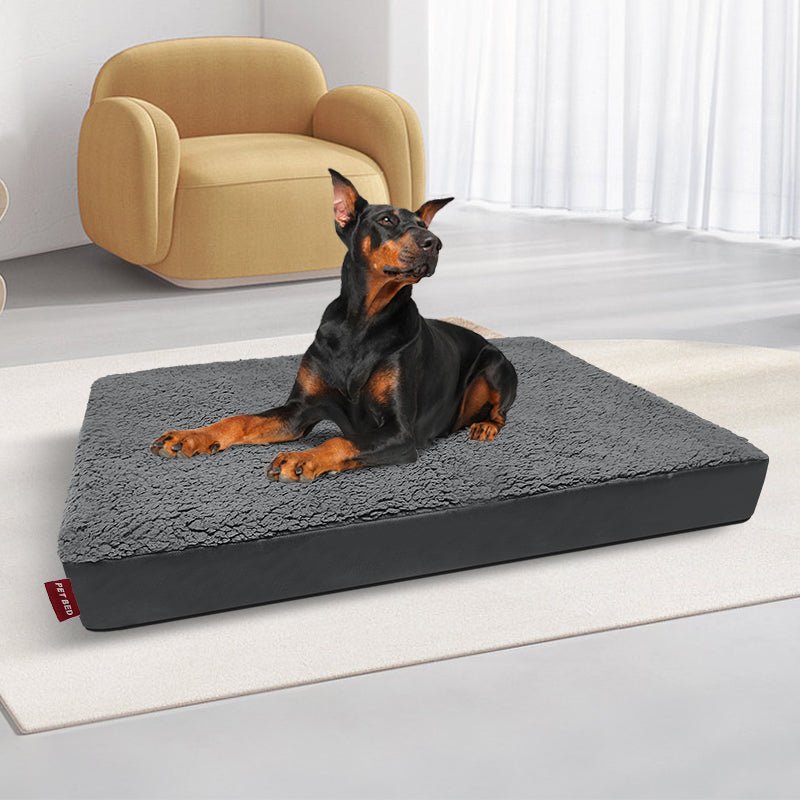 orthopedic dog bed