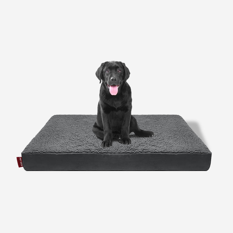 orthopedic dog bed