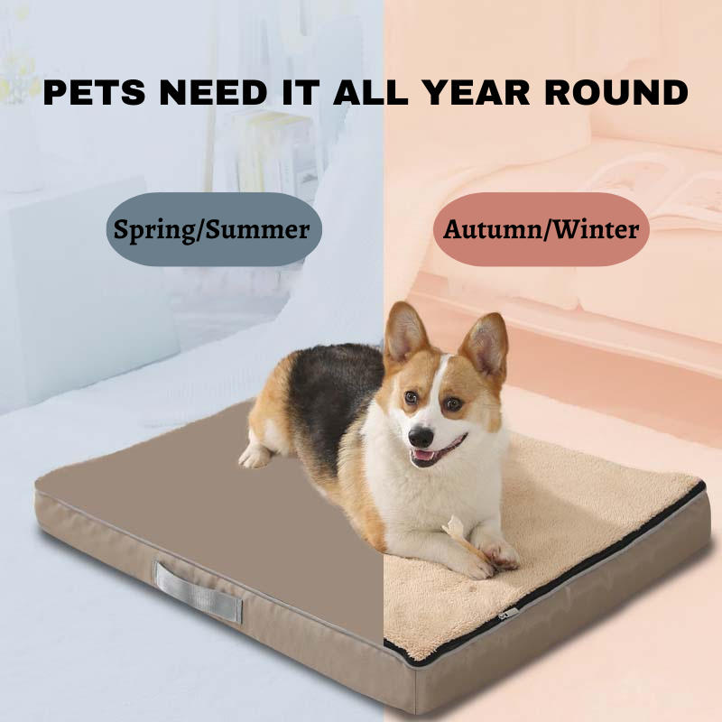 Dog beds for four seasons