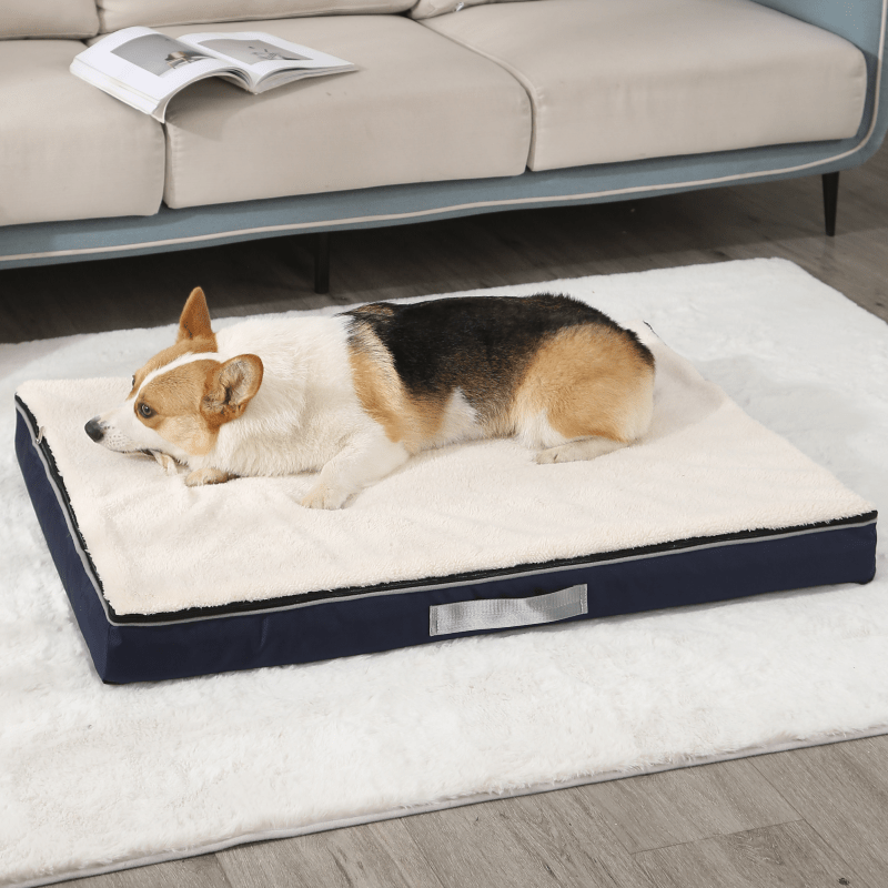 Orthopedic Dog Bed