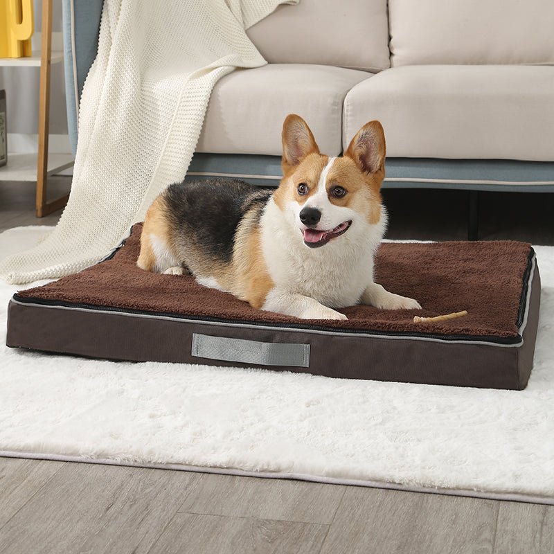 Orthopedic Dog Bed